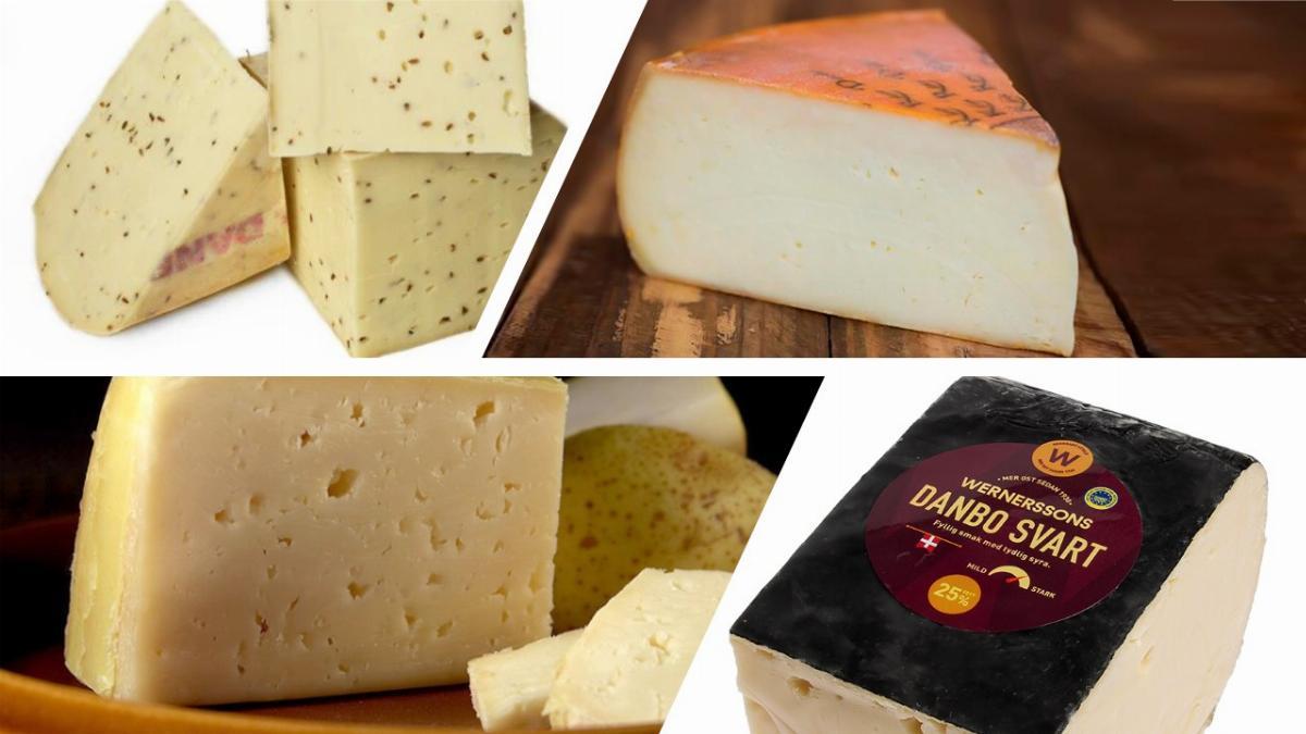 Nový díl Sýrové abecedy: Danbo a Danablu