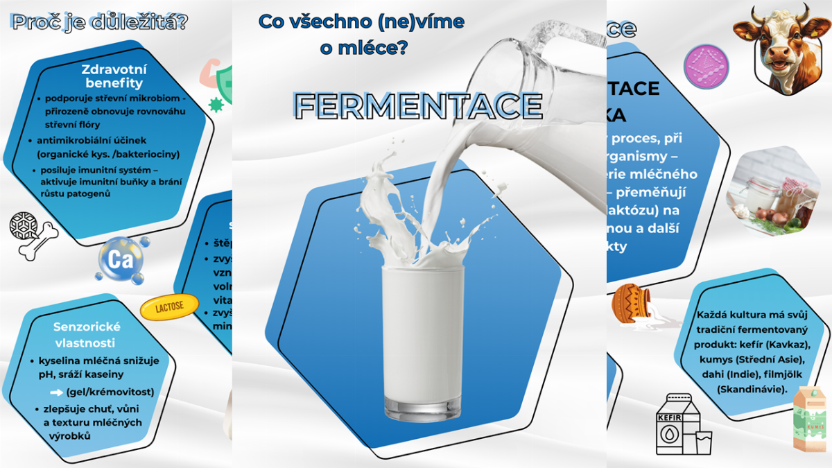 IV. Fermentace