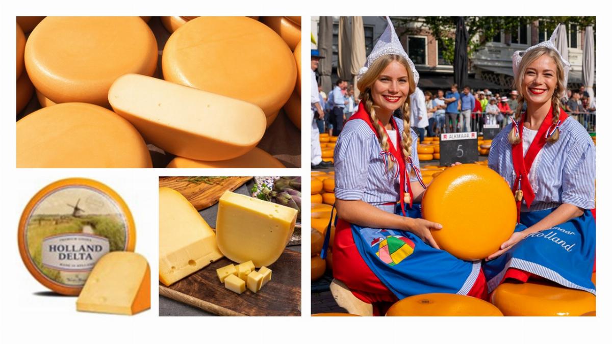 G- Gouda, Gorgonzola a Grana Padano