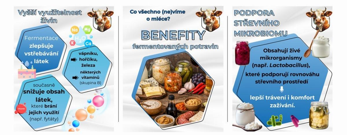 VIII. Benefity fermentovaných potravin