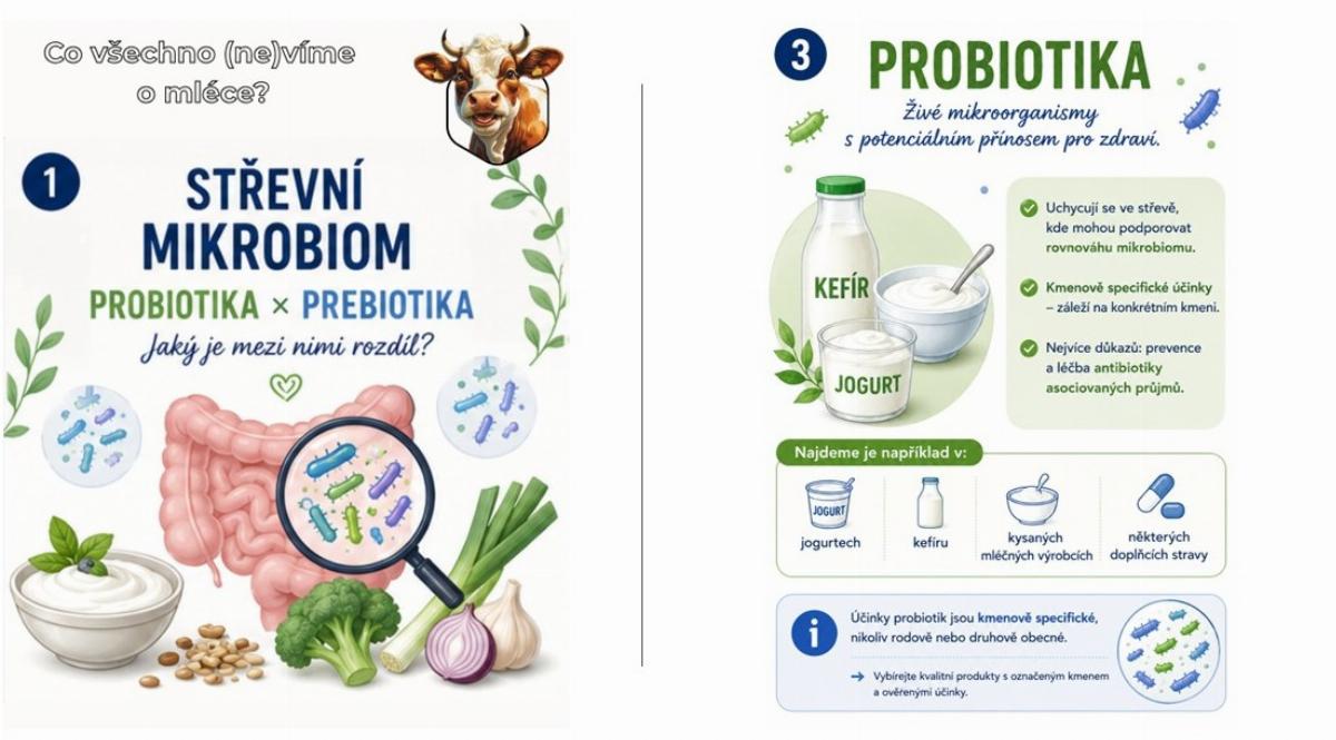 IX. Probiotika, prebiotika a střevní mikrobiom