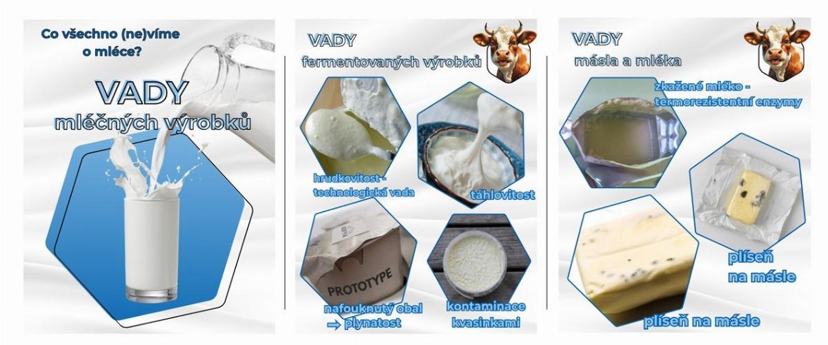 VI. Vady mléčných výrobků